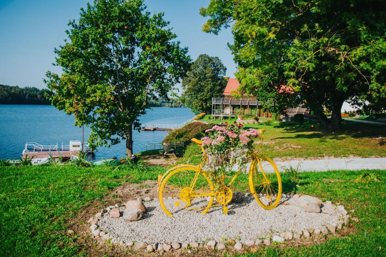 Kempings Kalnavoti Koknese Luaran gambar